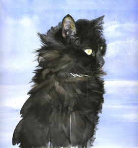 Copyright - Niki de Mestral