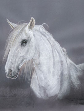 Copyright - Niki de Mestral