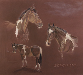 Copyright - Niki de Mestral