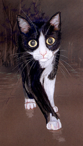 Copyright - Niki de Mestral