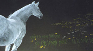 Copyright - Niki de Mestral