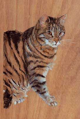 Copyright - Niki de Mestral