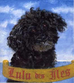 Copyright - Niki de Mestral