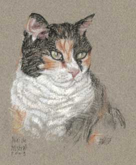 Copyright - Niki de Mestral