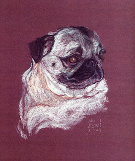 Copyright - Niki de Mestral