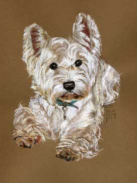 Copyright - Niki de Mestral