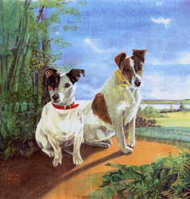 Copyright - Niki de Mestral