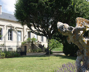 Copyright - Niki de Mestral