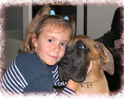 Copyright - Niki de Mestral